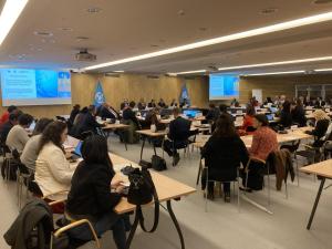 meeting in geneva in December 2024.  Panels are sitting in the front of the room