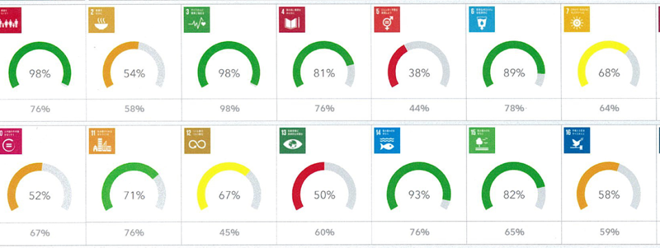 Infographics showing achievement of SDG goals